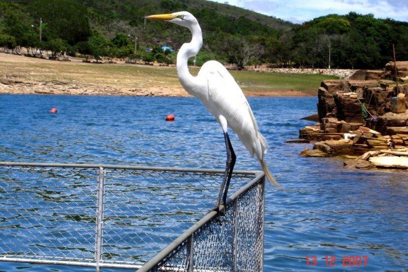 ساو جوزيه دا بارا Pousada Araras Lago De Furnas المظهر الخارجي الصورة
